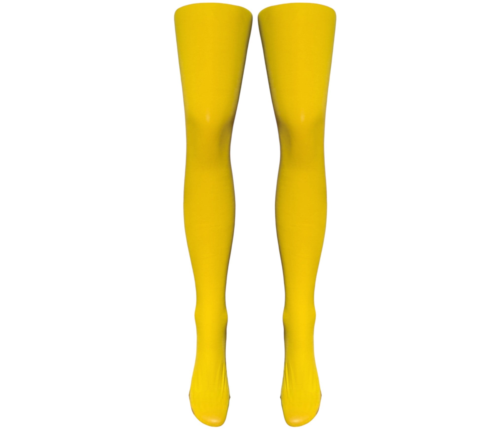 Silver Legs 100 Denier Italian Opaque Tights